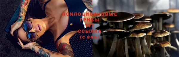 PSILOCYBIN Абинск